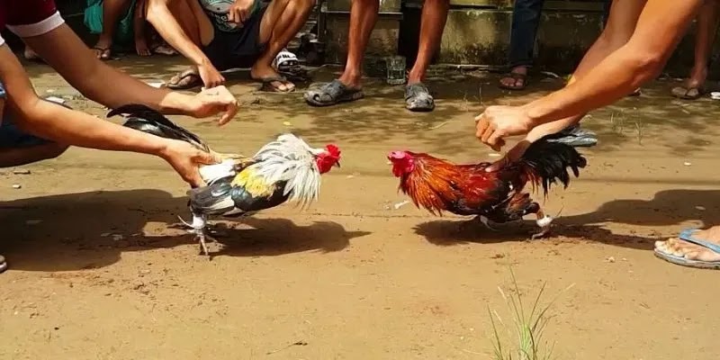 Đây là nơi hội tụ nhiều ưu điểm nổi bật để game thủ gắn bó