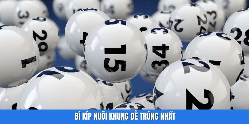 Bí kíp nuôi khung dễ trúng nhất