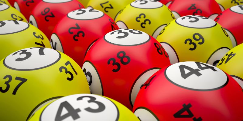 Lý do bạn nên thử bắt đề dàn khi trải nghiệm cá cược