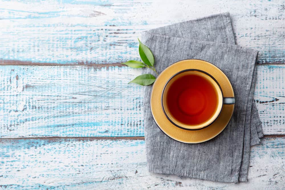 Cây đuôi chuột chữa bệnh gì