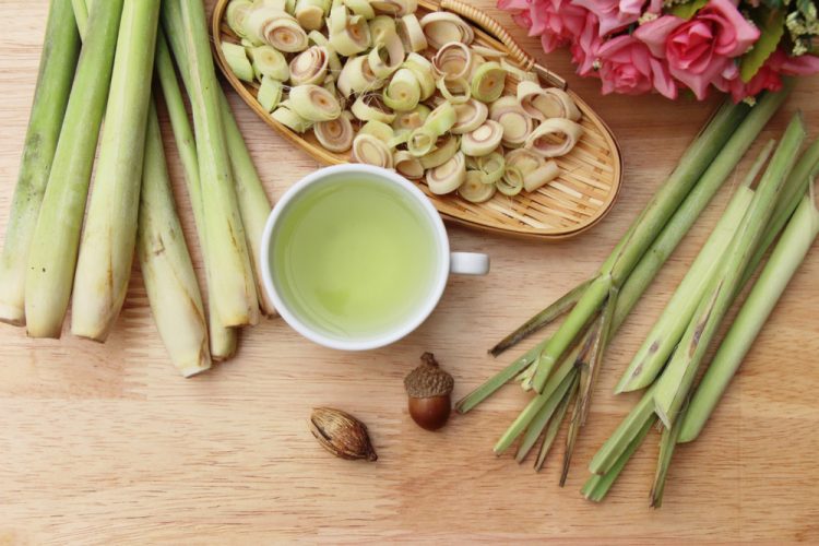 Lá sả chữa bệnh gì