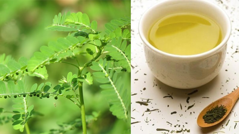 Thuốc diệp hạ châu chữa bệnh gì