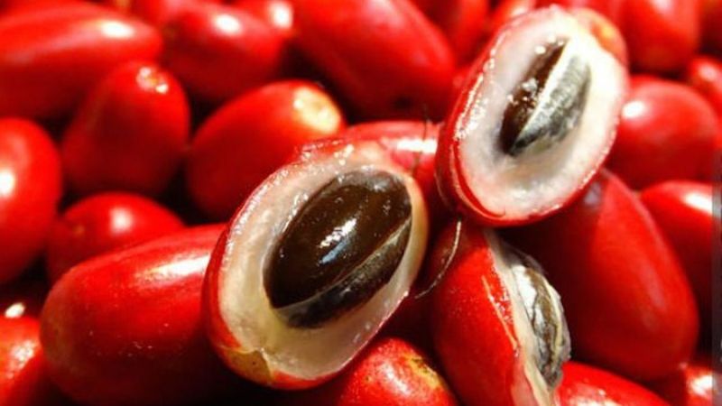 Trái thần kỳ chữa được bệnh gì